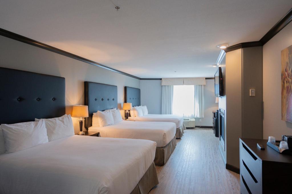 Premier, 3 Queen Beds