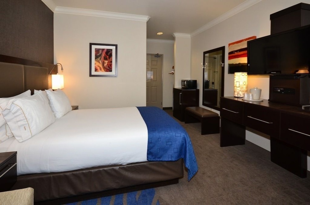 Holiday Inn Express Hotel Suites Santa Clara 16/58