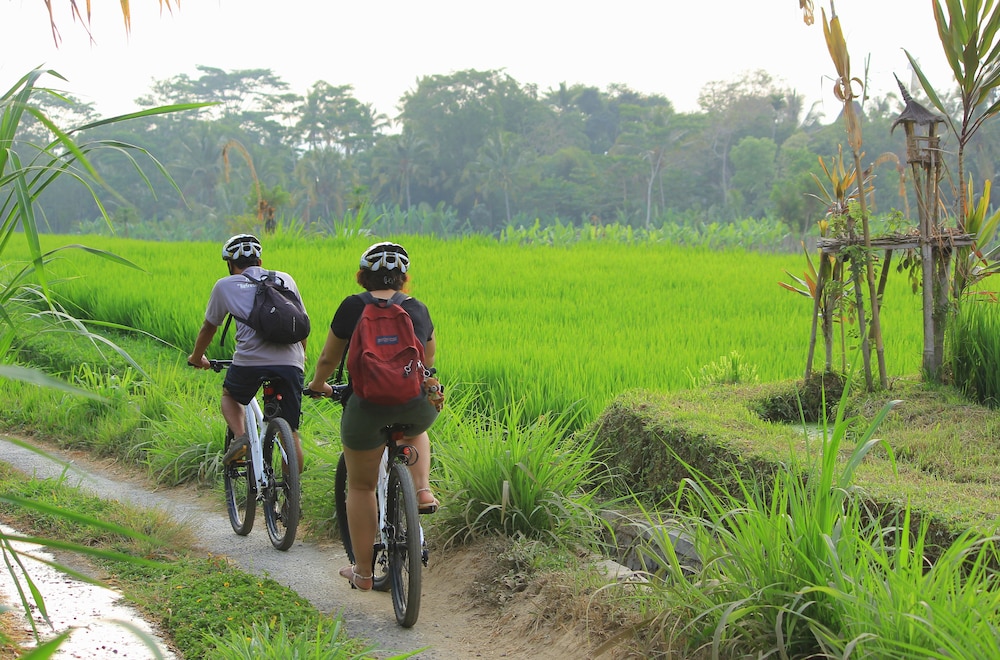 Padma Resort Ubud photo2