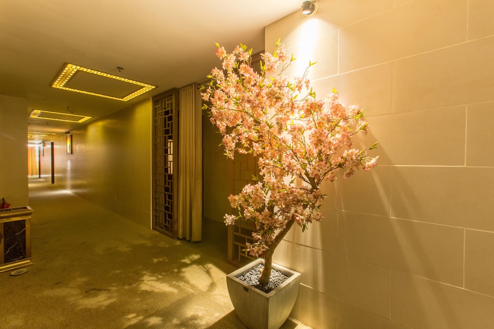 Minh Tam Hotel And Spa 30/54