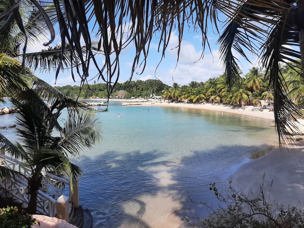 Coco Reef Resort & Spa 49/56