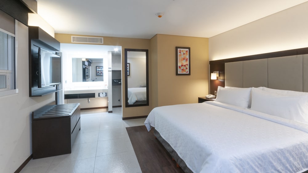 Holiday Inn Express Mexico Basilica 16/52
