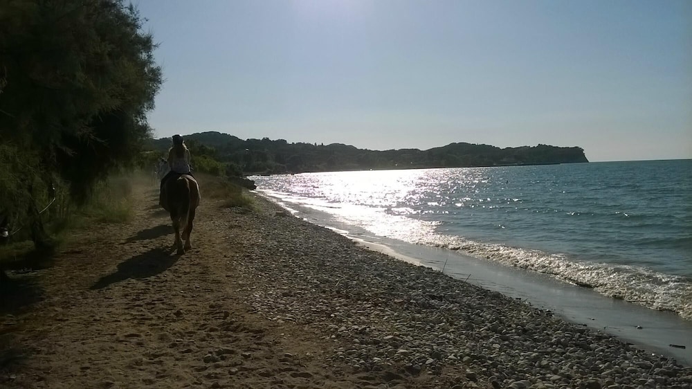 Corfu Sea Palm Residence 22/50