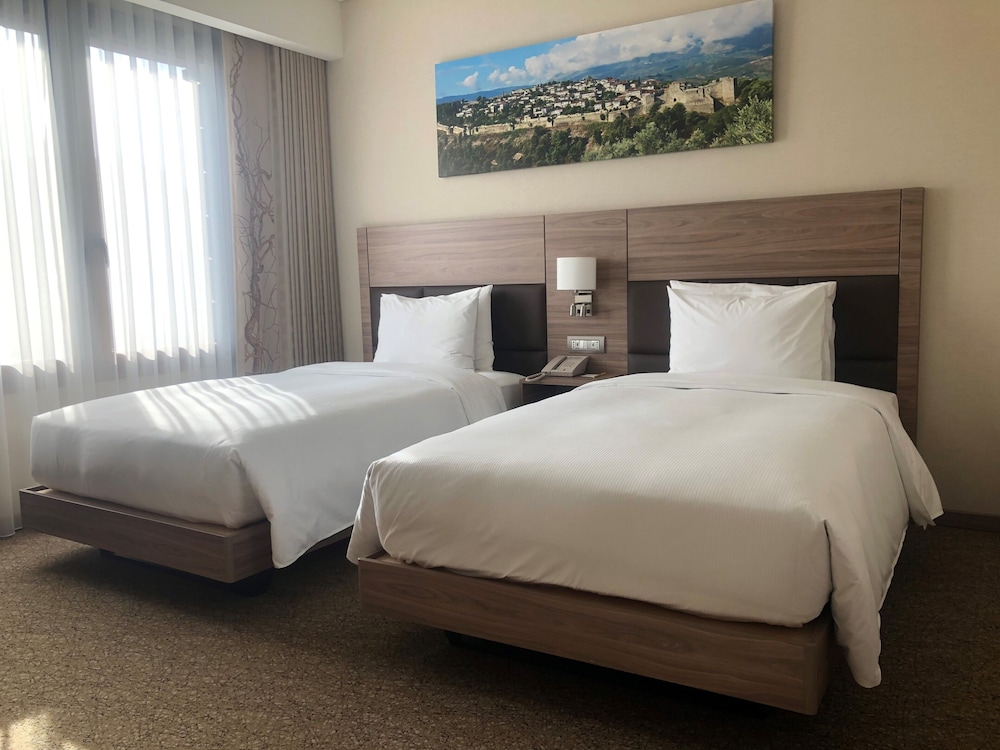 Hilton Garden Inn Tirana 13/81