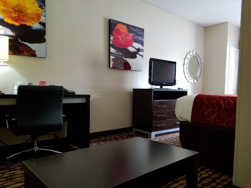 Comfort Suites Northside Hospital Gwinnett 38/47
