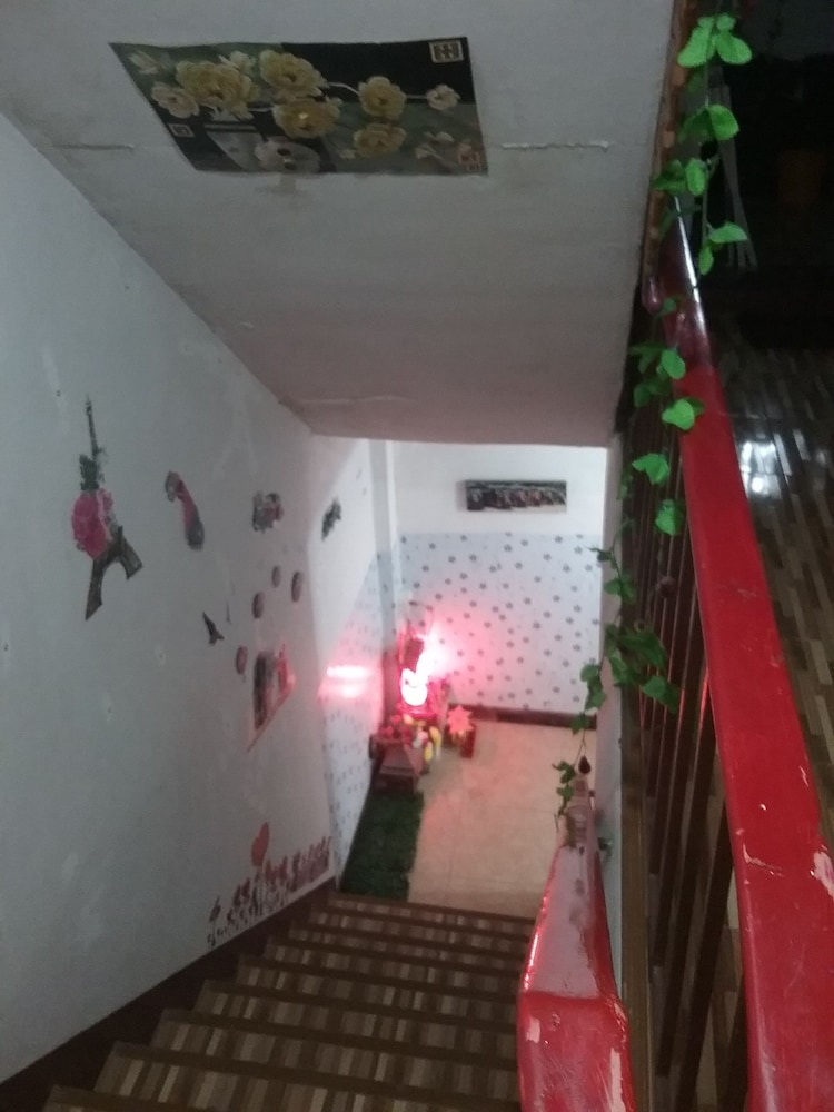 Danee Hostel 11/55