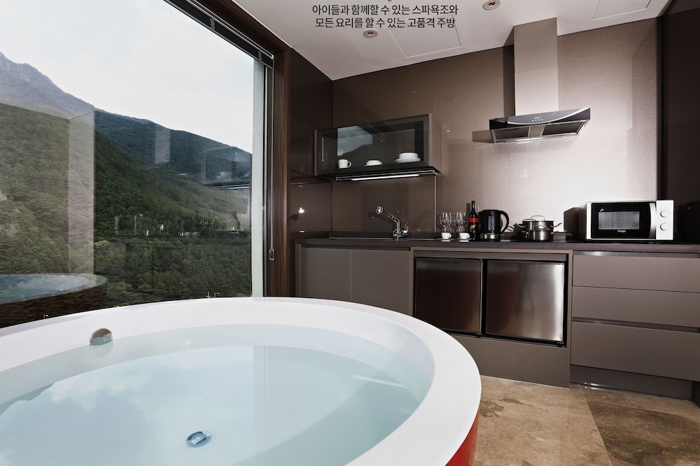 Pine Forest Jeongseon Alpine Resort 18/44