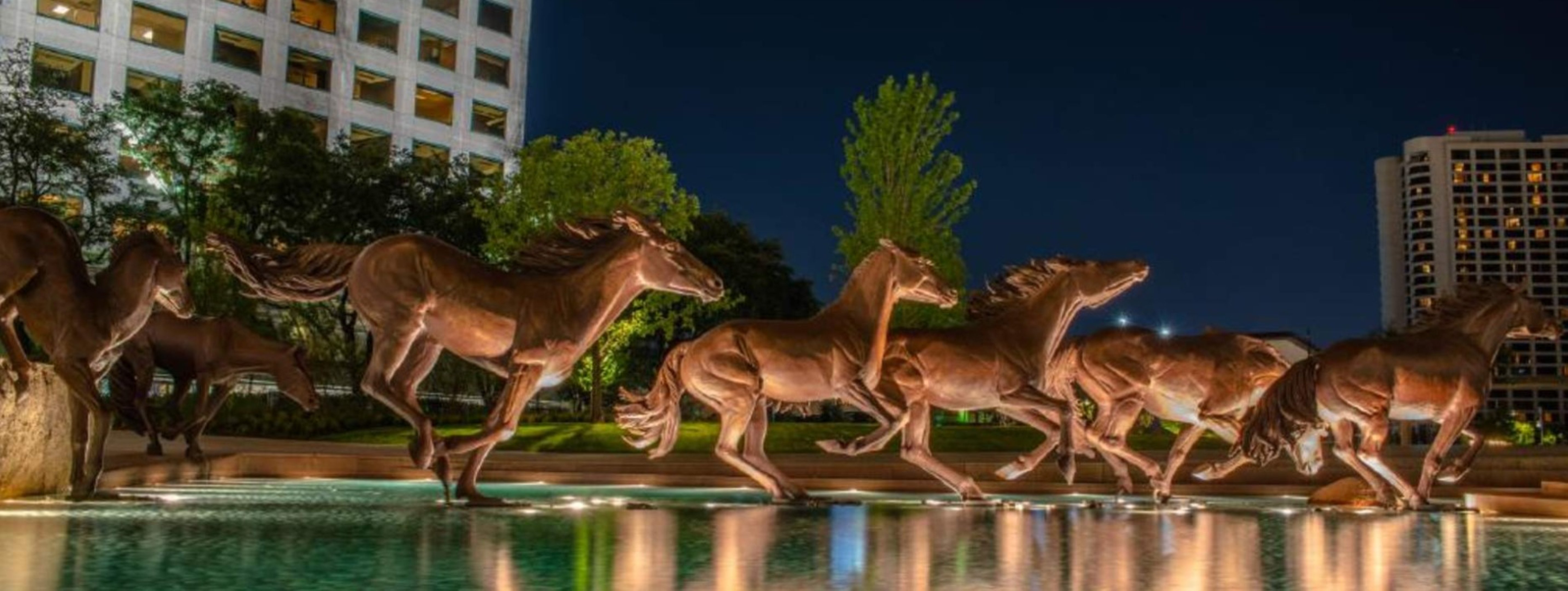 Hotel Indigo Irving Las Colinas, an IHG Hotel 27/30