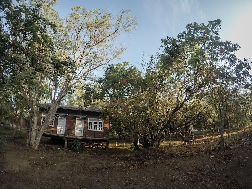 Apsaras Resort Sigiriya 34/45