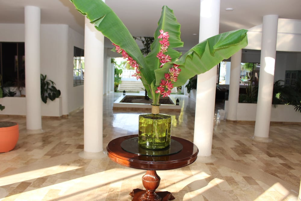 VAIA HOTELES 5/48