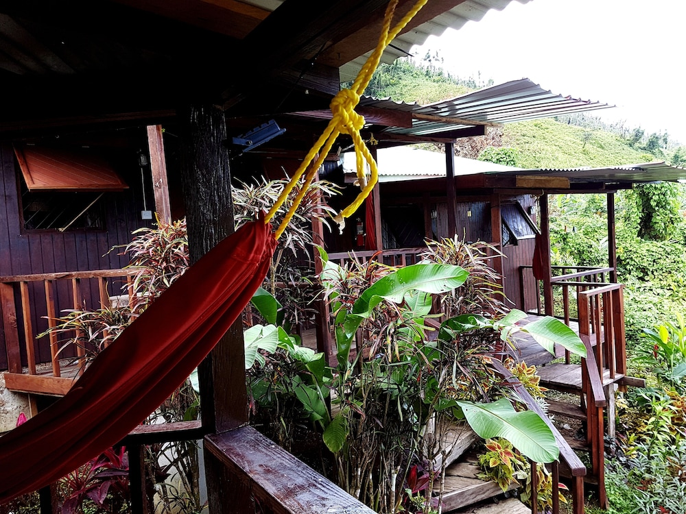 Hibiscus Valley Inn 32/50