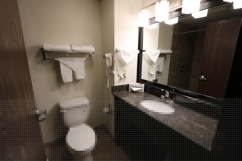 Best Western Bolingbrook Hotel 18/58
