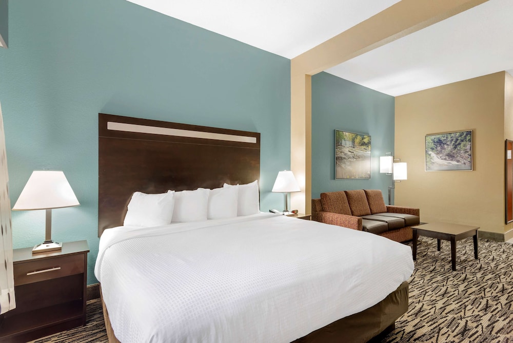 Best Western Plus McDonough Inn & Suites 21/55