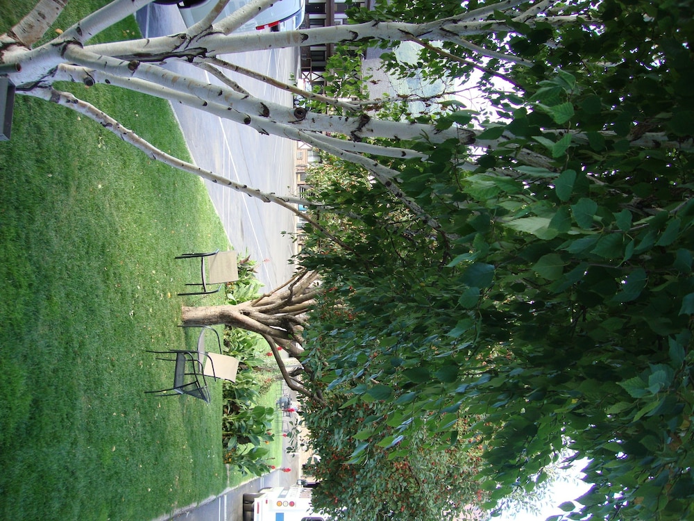 Silver Spruce Inn 41/50
