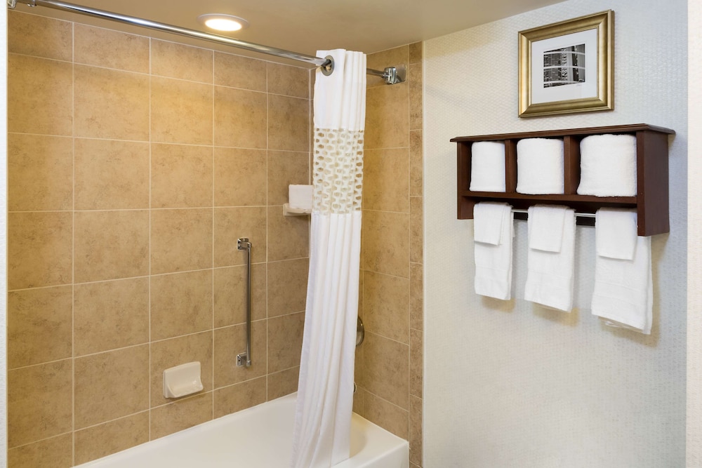 Hampton Inn Houston Near The Galleria 12/34