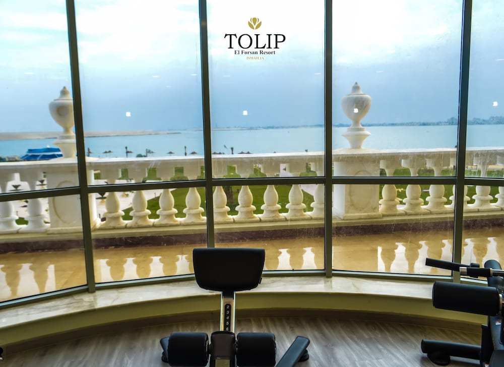 Tolip Elforsan Ismailia 13/50