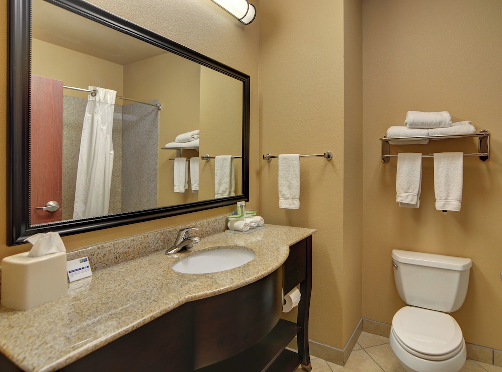 Holiday Inn Express Hotel And Suites Altus 63/69