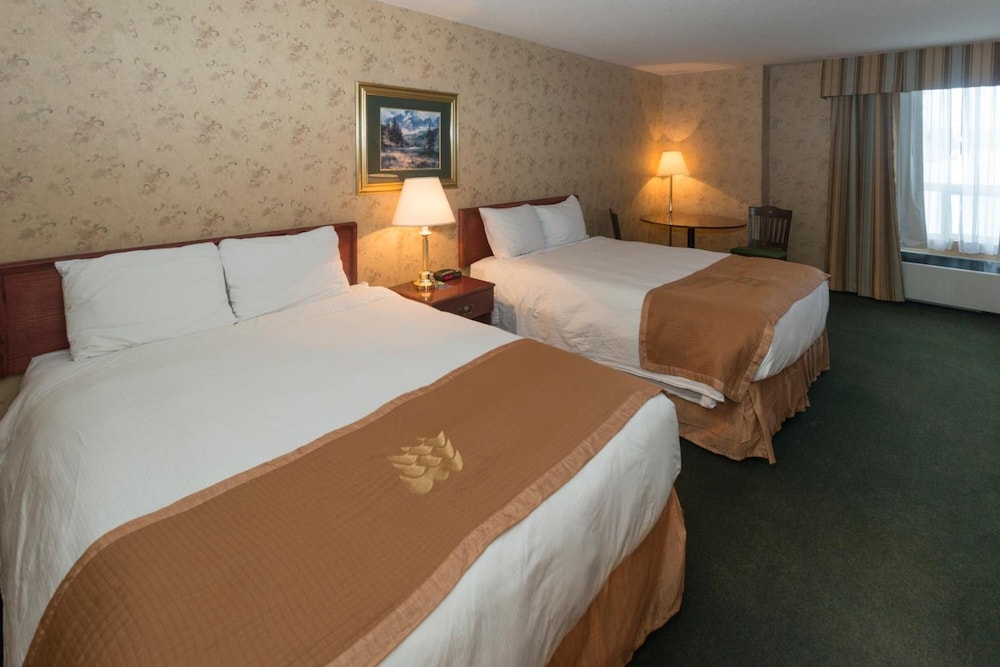 Lakeview Inn & Suites Fort Saskatchewan 11/28