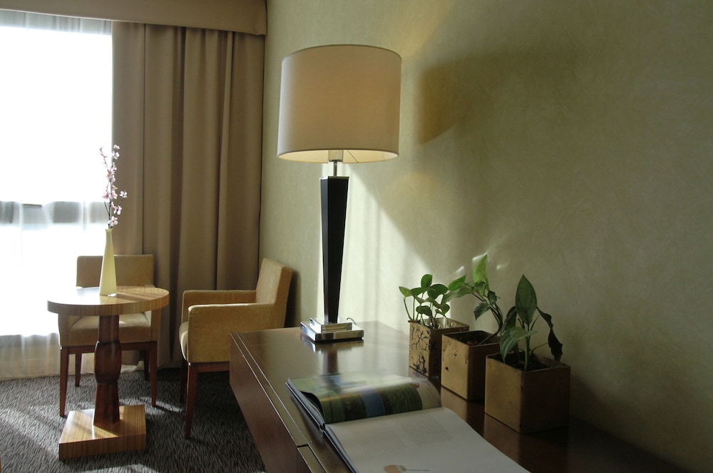Panoramic Grand 30/50