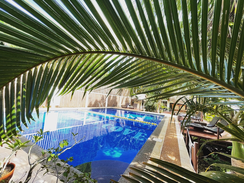 Palms Cove Resort 41/73