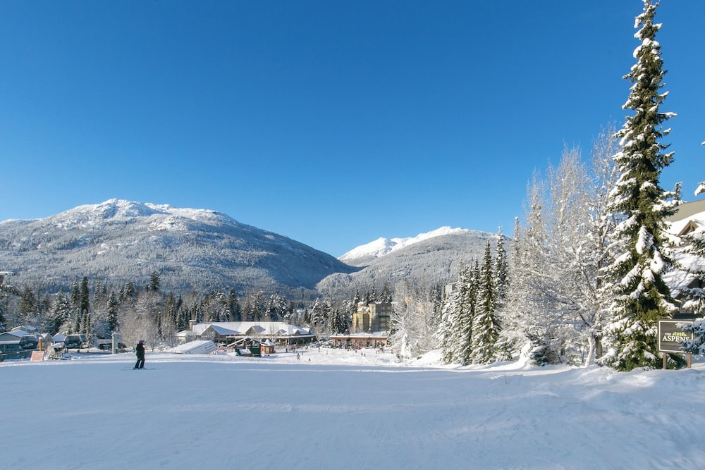 The Aspens by Whistler Premier 39/50