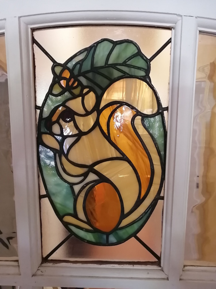 Squirrels Corner 15/50