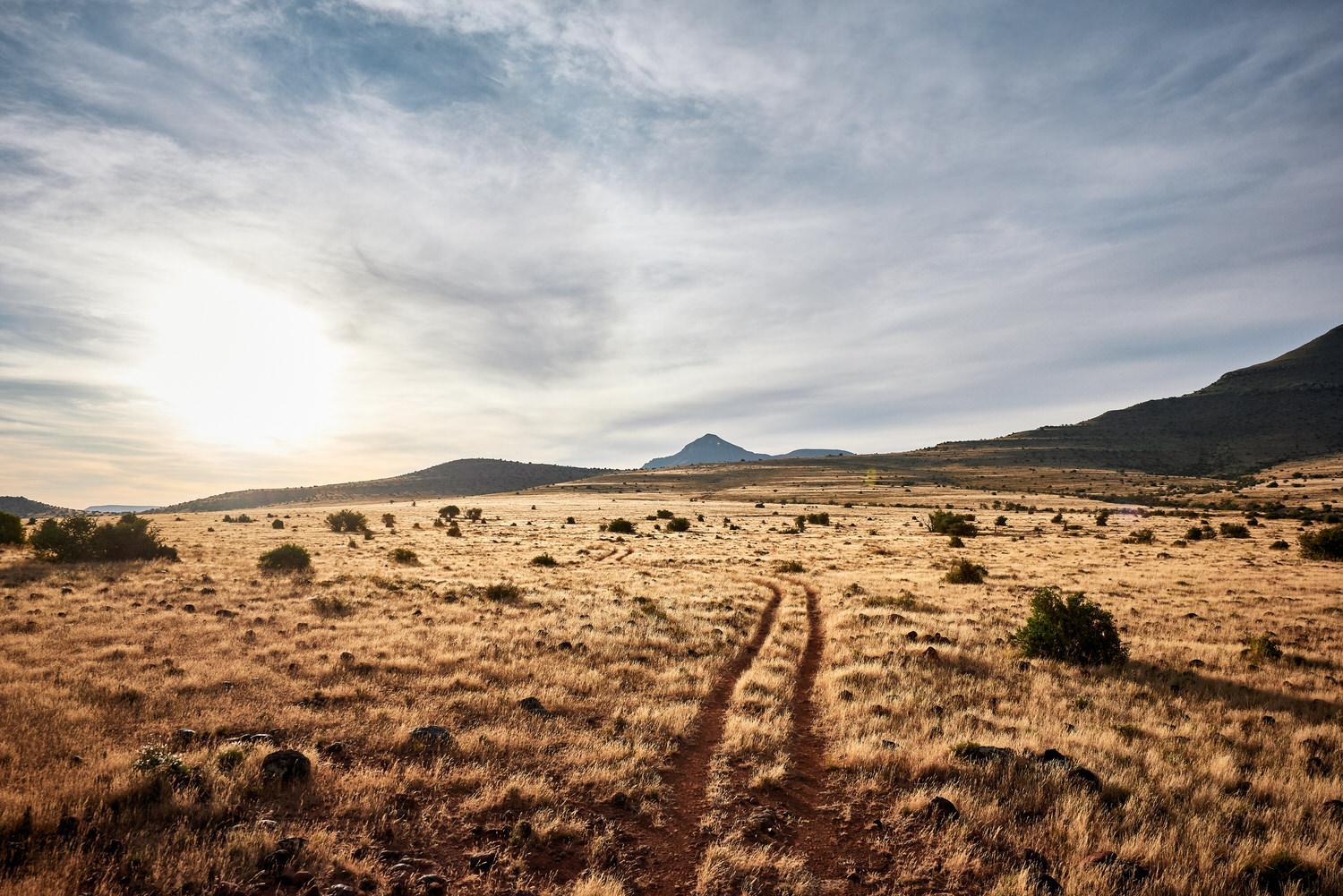 Glen Harry Game Reserve 28/44