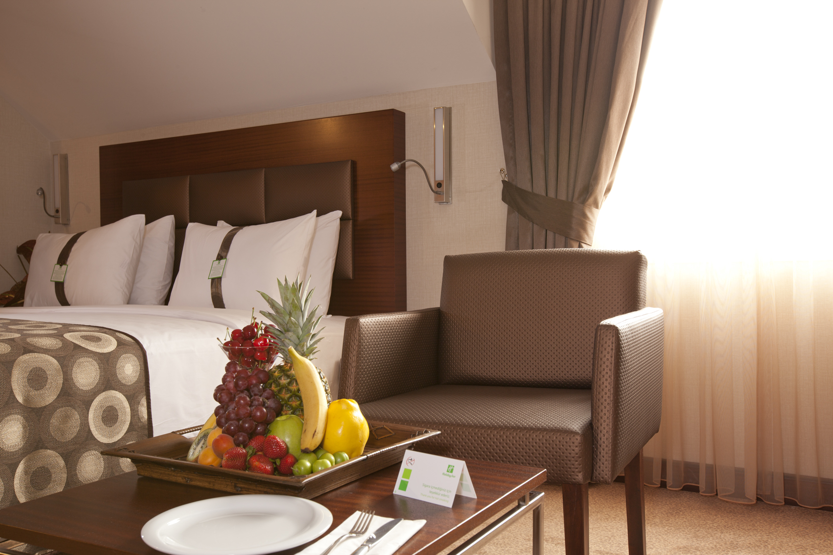 Holiday Inn Gebze Istanbul Asia 18/55