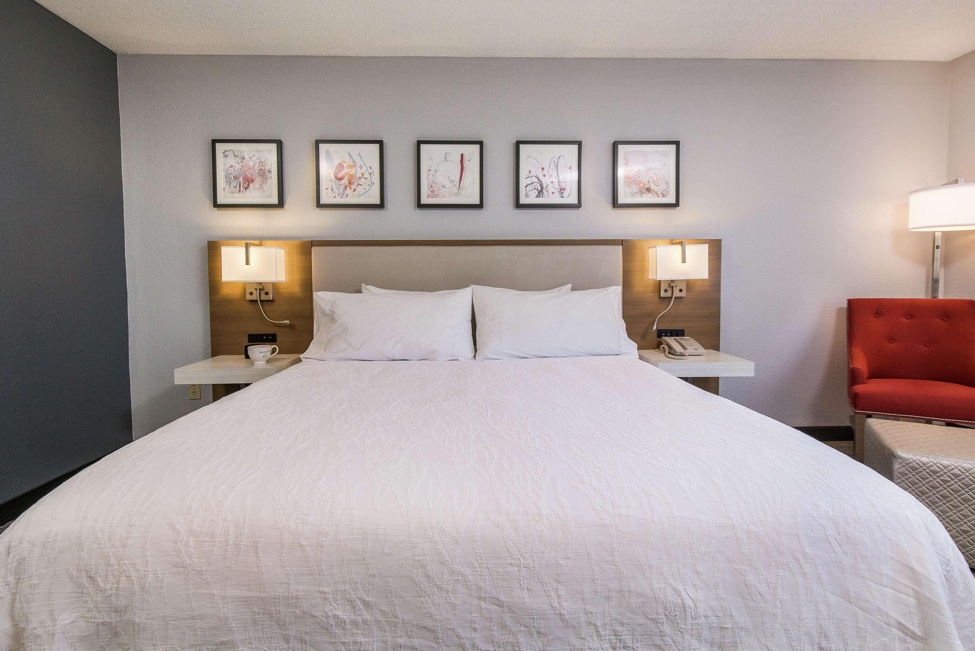 JUNIOR SUITE, KING BED, SOFA