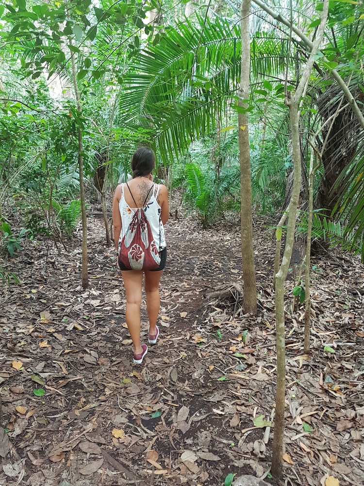 Jambo Beach Bungalows - Hostel 41/50