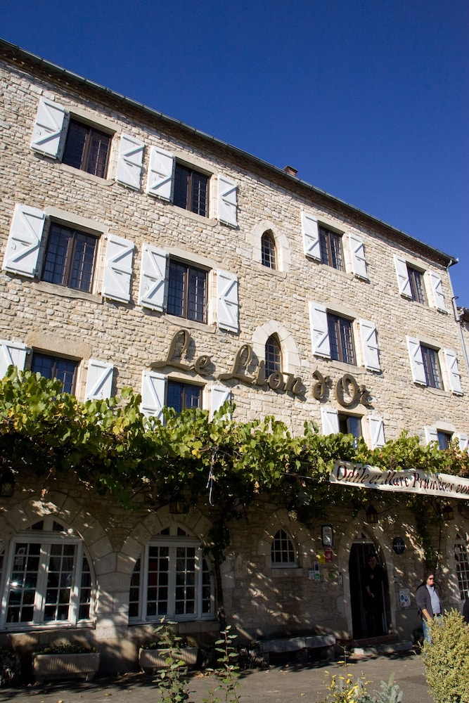 HOTEL LE LION D'OR 1/50