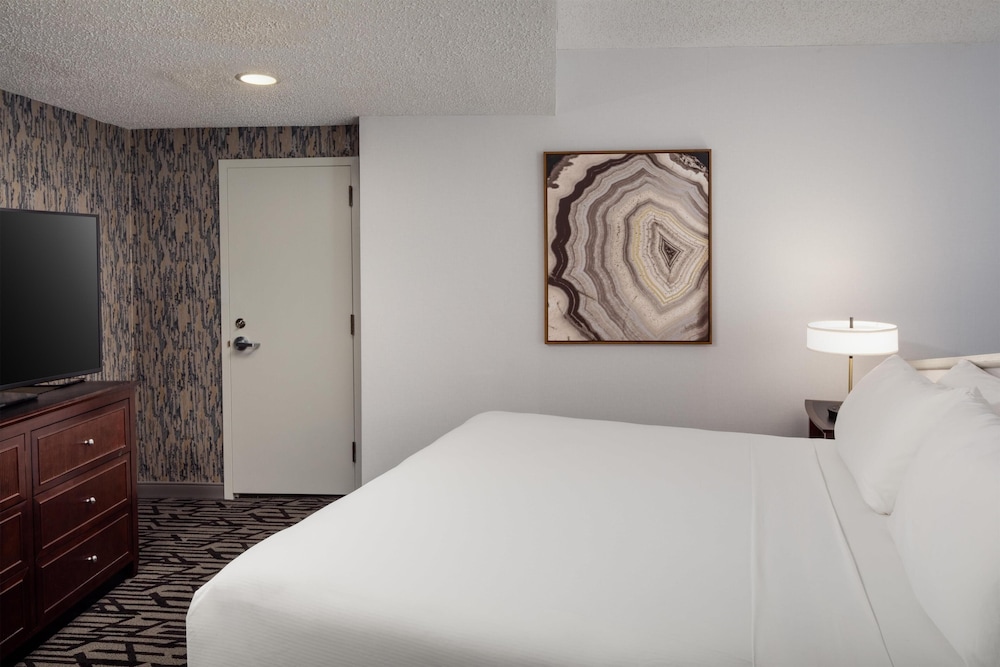 Suite, King Bed