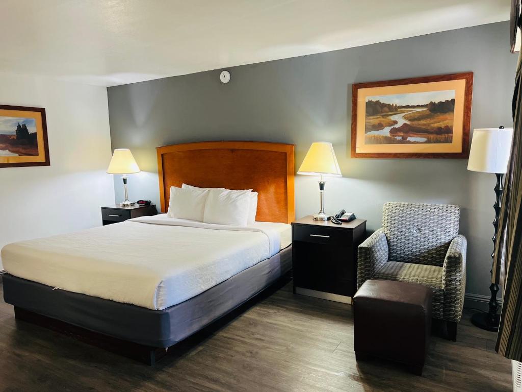 Room, King Bed, Sofa