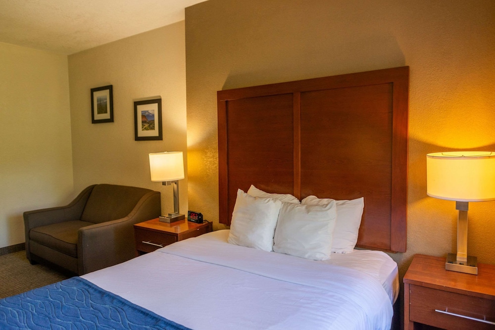 Comfort Inn North - Air Force Academy Area photo3