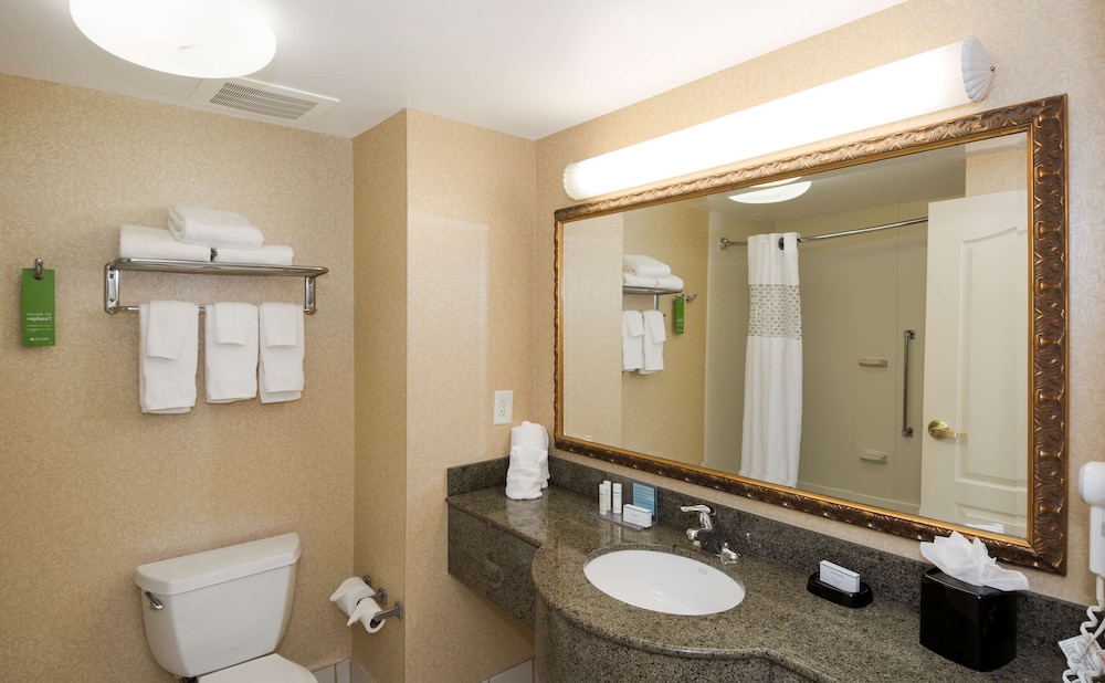 Hampton Inn Lawrenceville Duluth 17/71