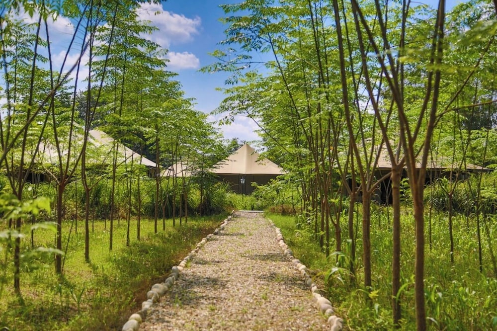 Aalia Jungle Retreat and Spa 66/73