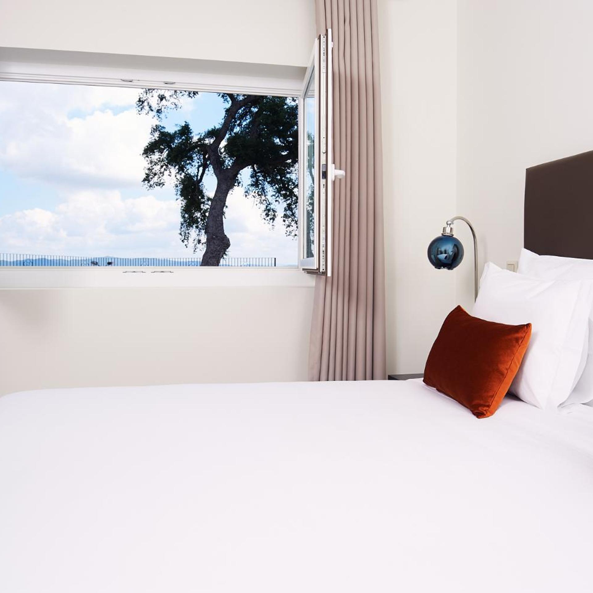 Deluxe, Villa, Convento Do Seixo Boutique Hotel And Spa 4/9