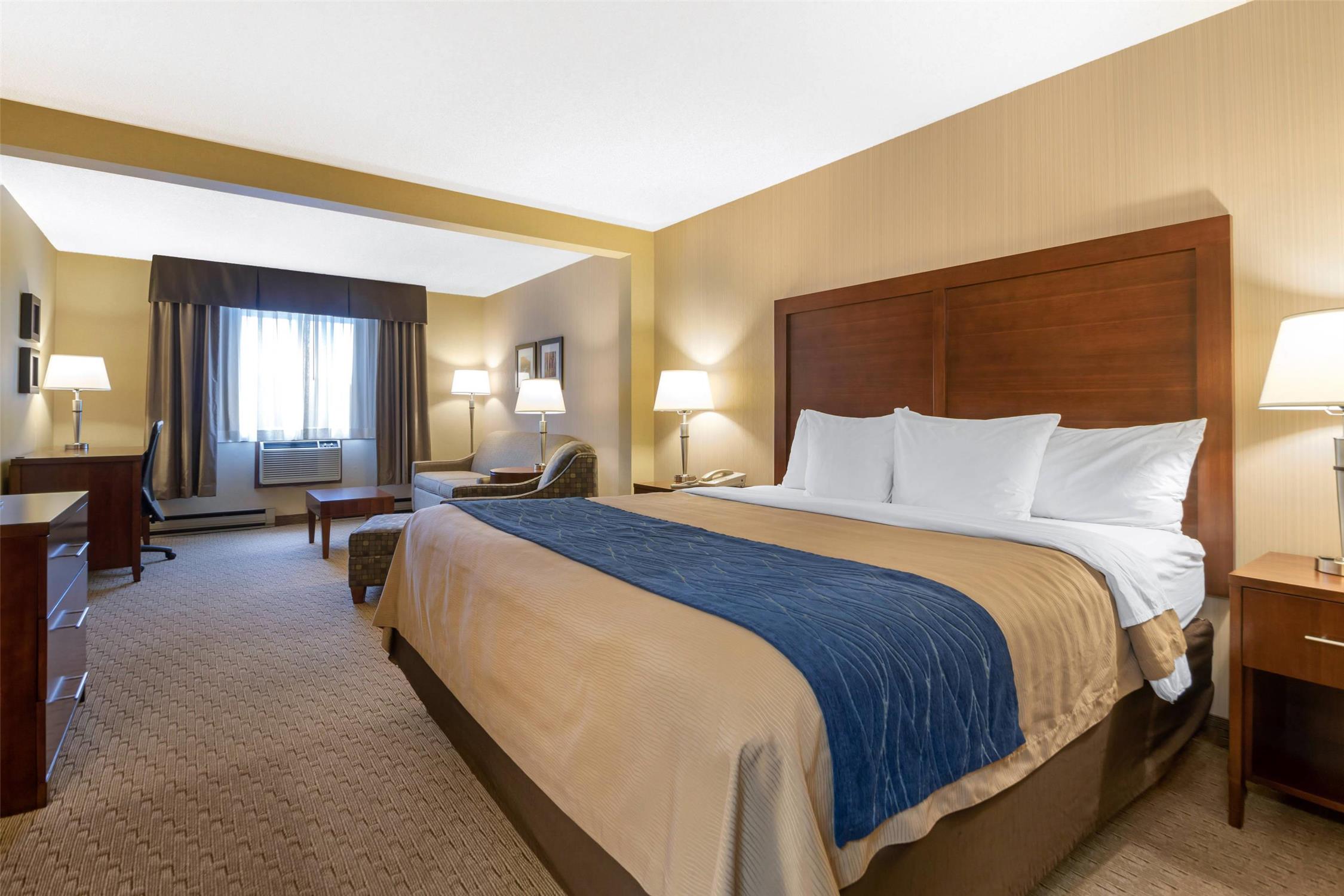Suite, King Bed