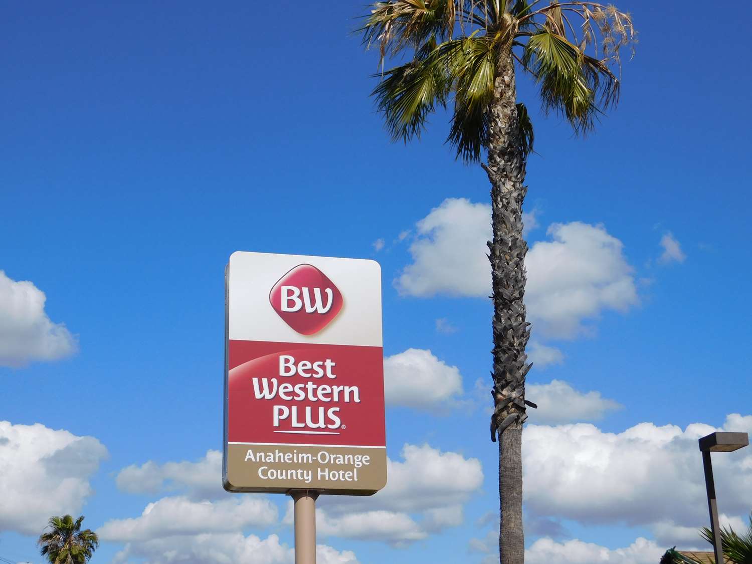 Best Western Plus Anaheim Orange County Hotel 25/36