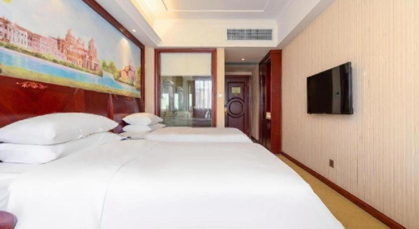 Vienna Hotel (Zhongshan Guzhen Lighting Expo Center) 27/60