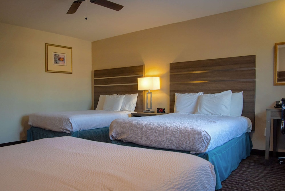 Rodeway Inn Near University-Gateway to Yosemite 15/32