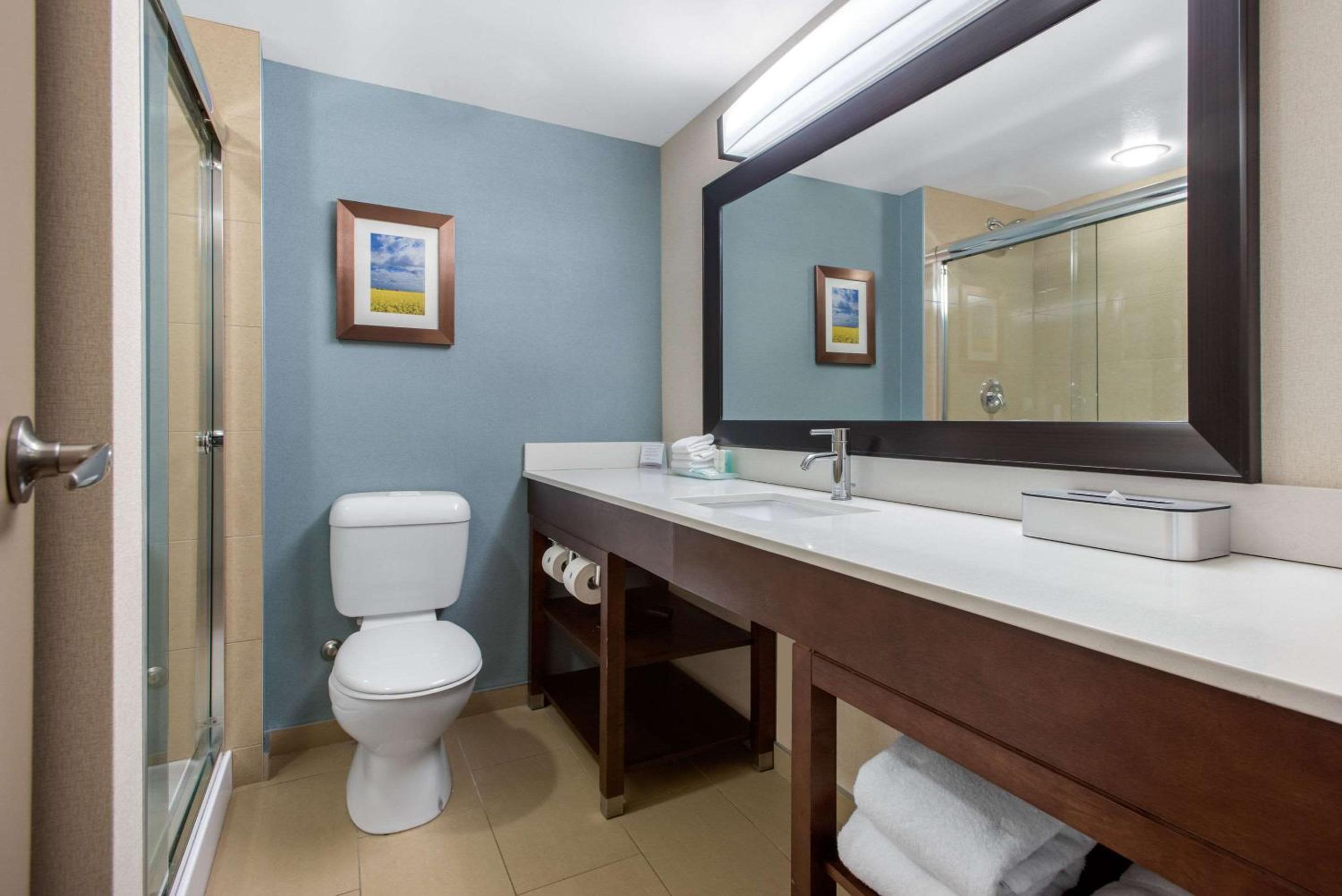 Room, Queen Bed, Sofa, Clarion Hotel & Suites Brandon 4/4