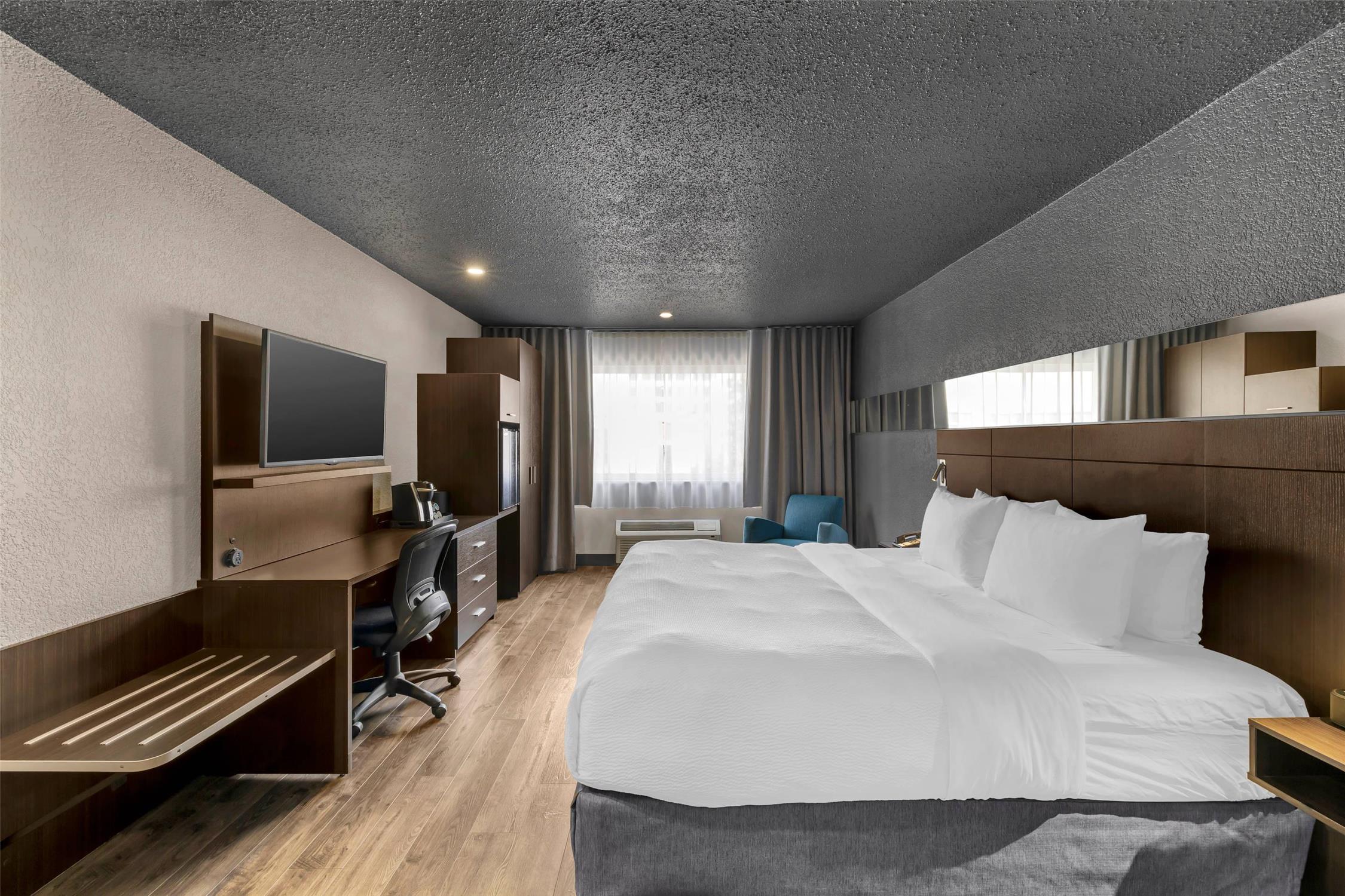 Room, King Bed
