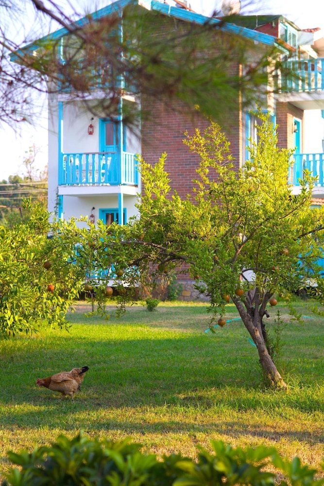 Yonca Lodge 3/50