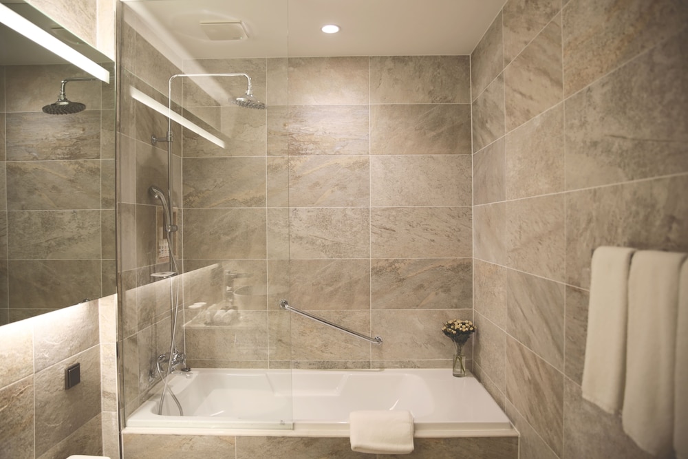 Sotetsu Hotels The Splaisir Seoul Dongdaemun 11/64