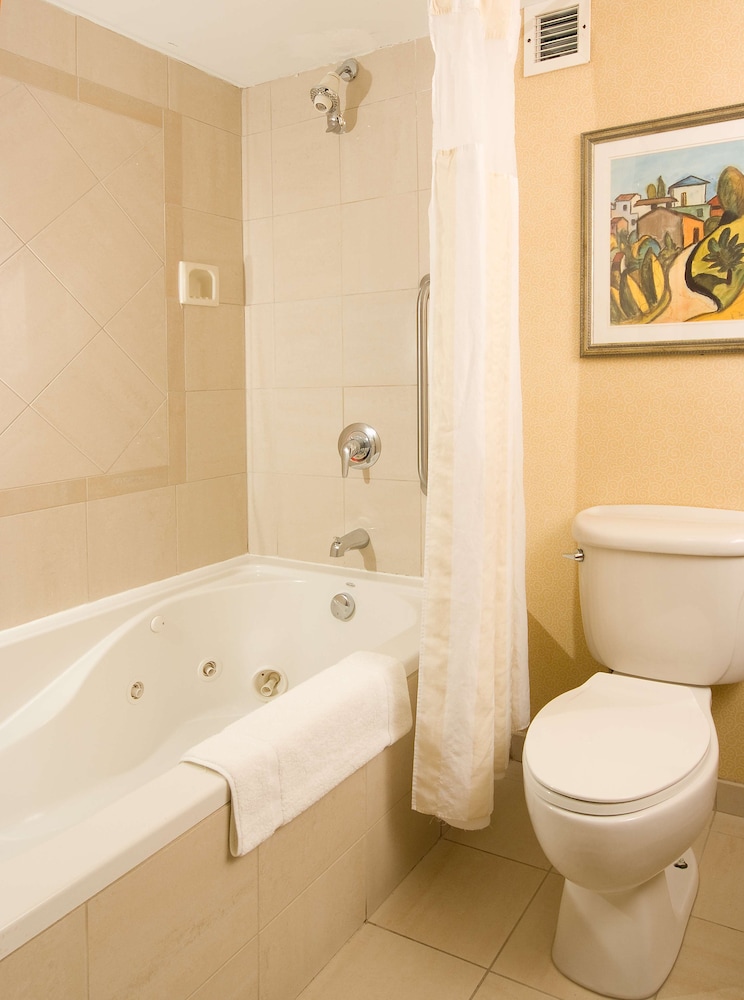 Hilton Garden Inn Atlanta Airport/Millenium Center 7/43