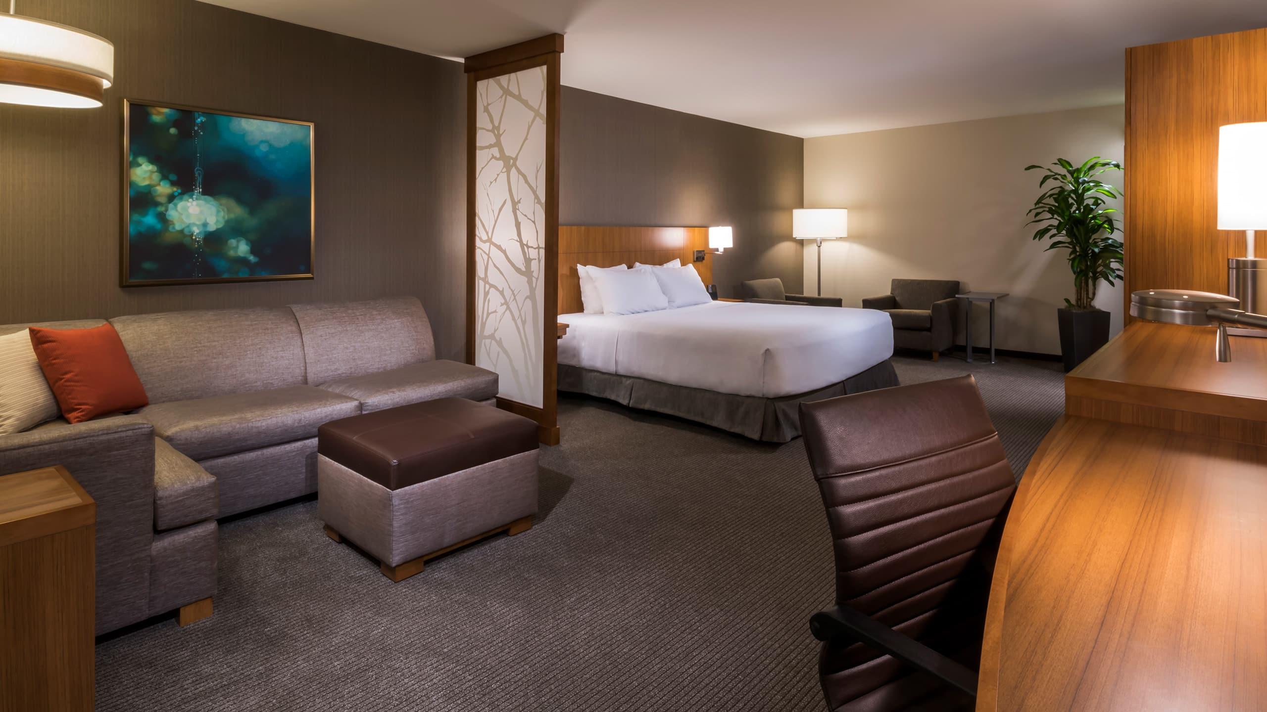 Room, King Bed