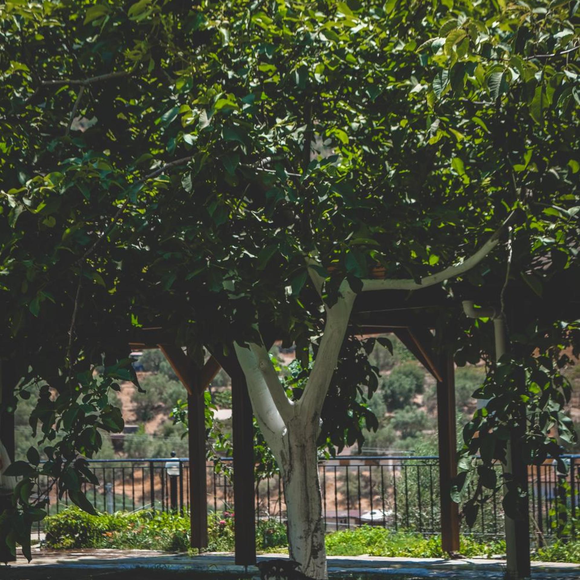 Natureland Efes Pension 47/56