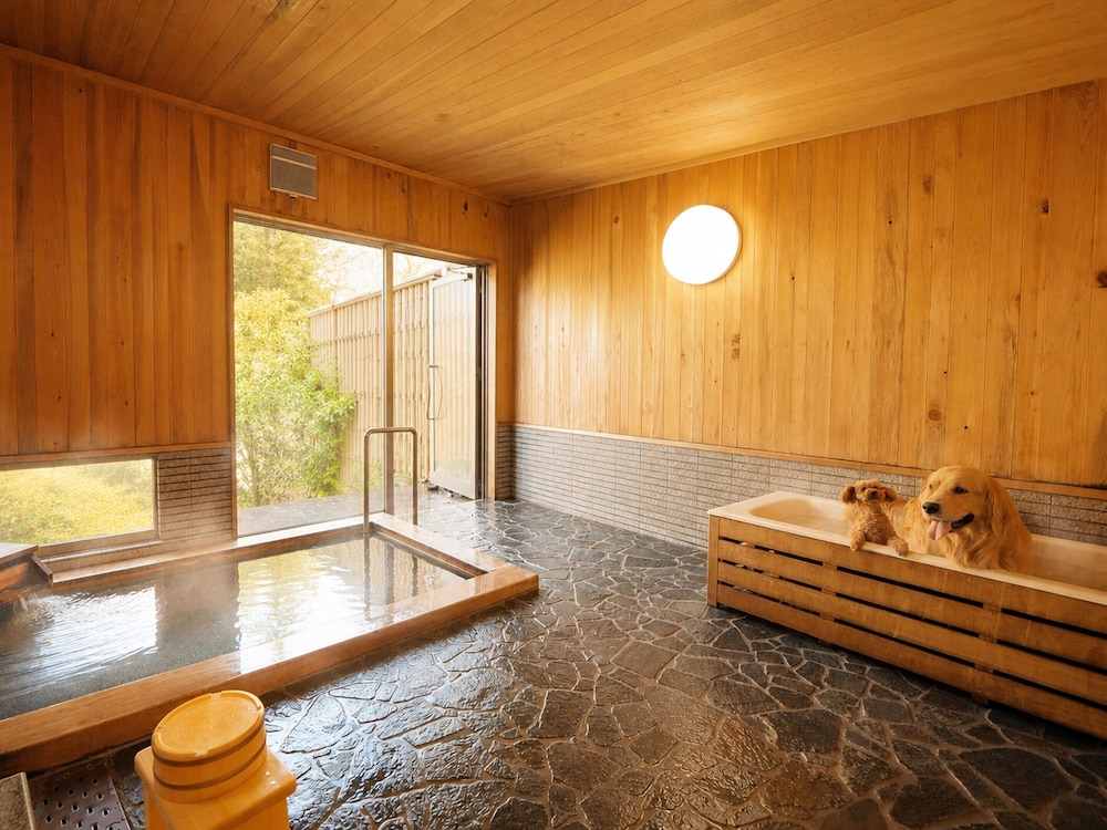 Izumigo Takayama Dog Paradise Hotel 39/67