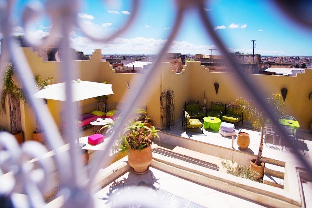 Riad Safir 2/49